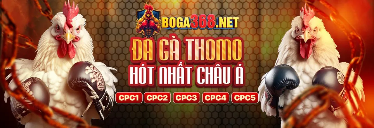 Đá Gà jjun88 - Sân đấu gà đầy kịch tính