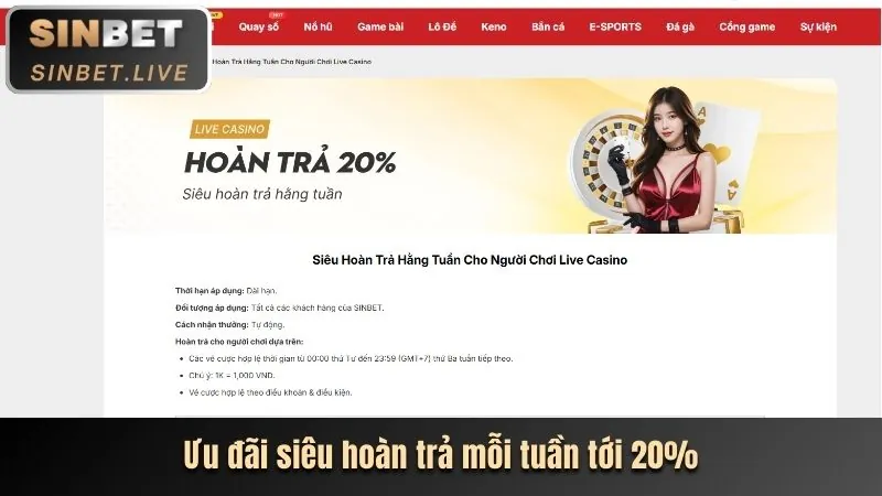 Hoàn Trả Tiền Cược jjun88